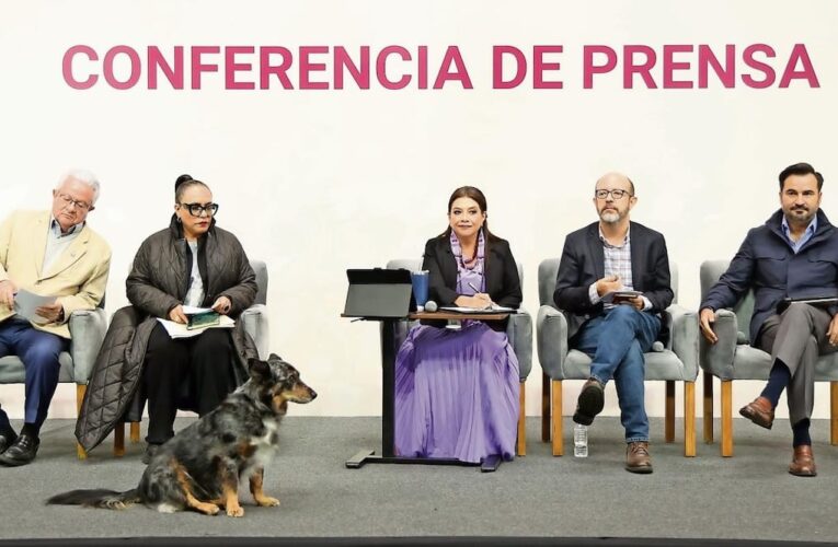 “Parece que están del lado de gentrificación”: Brugada