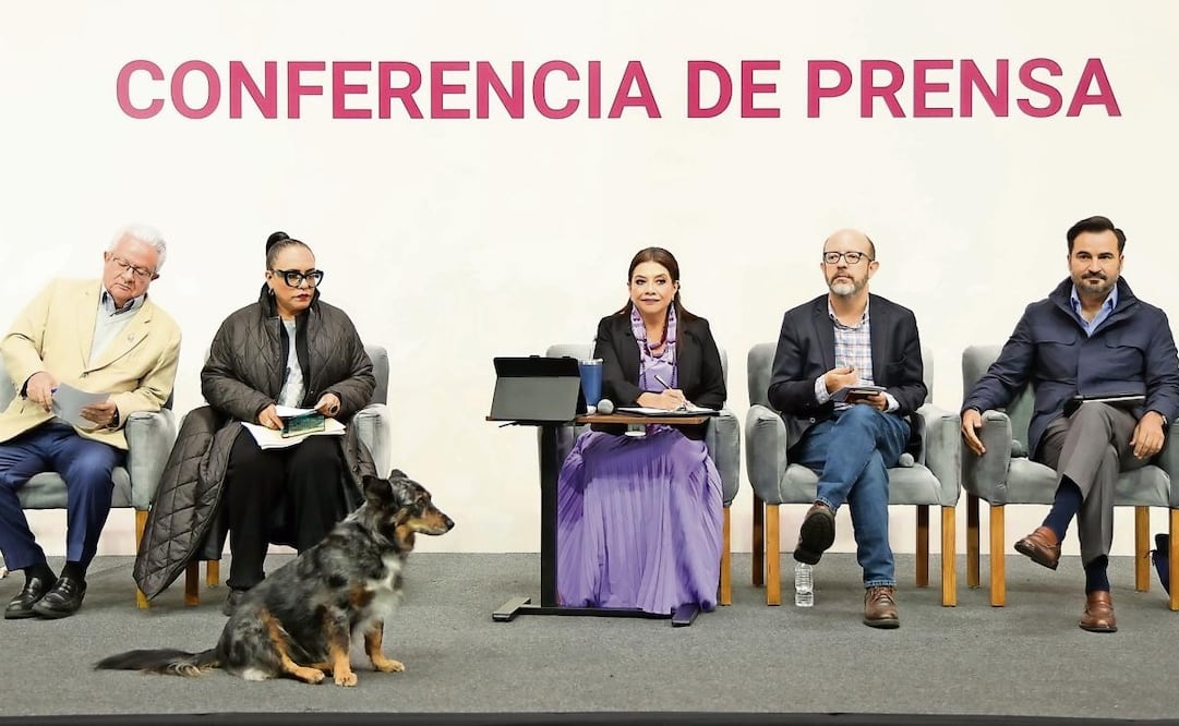 “Parece que están del lado de gentrificación”: Brugada AUKJXFQPENBNZDT5423IV3UT5U